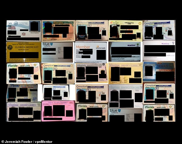 Above, a photo collage was made showing some of the insurance documents, driver's licenses and other government-issued IDs that were publicly available.